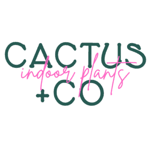 Cactus Co Logo with Background